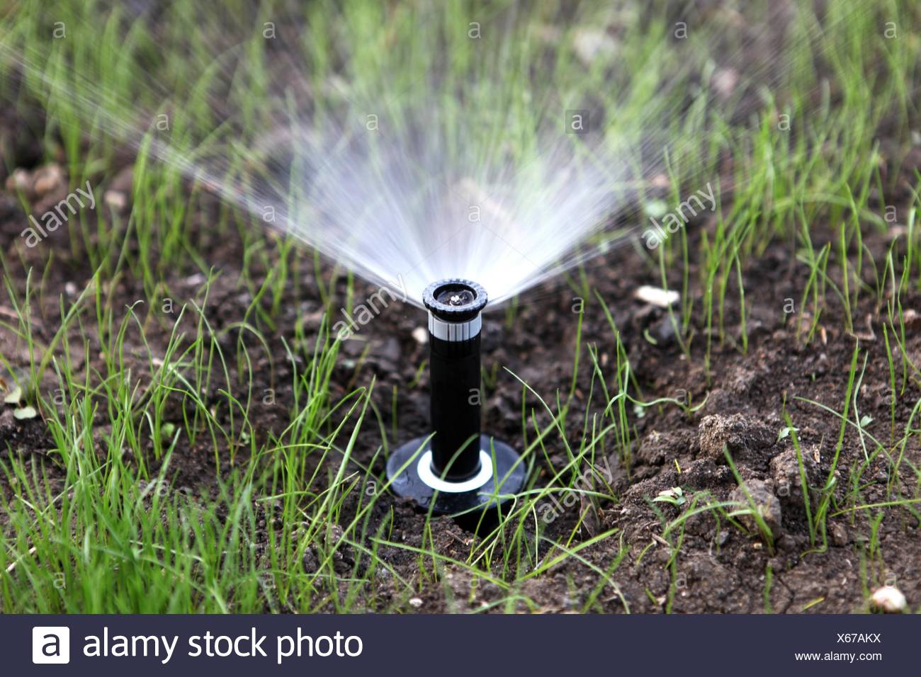 arrosage automatique 67