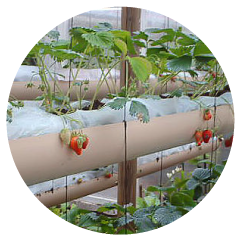 arrosage automatique avignon