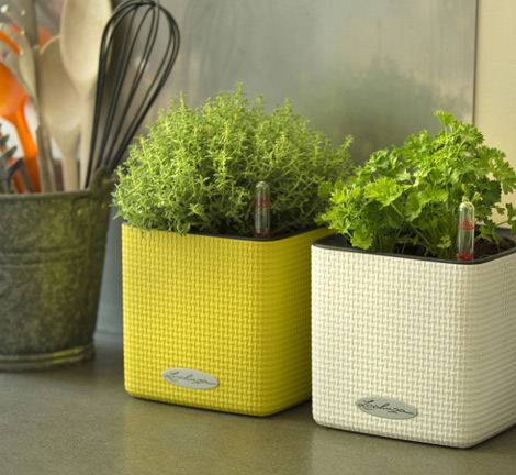 arrosage automatique botanic