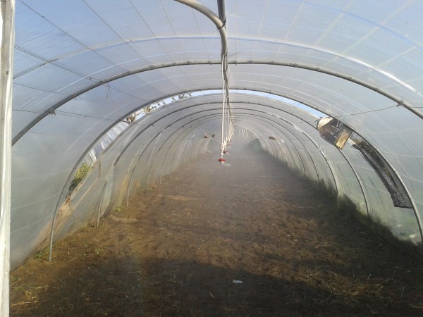 arrosage automatique de serre