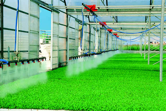 arrosage automatique de serre