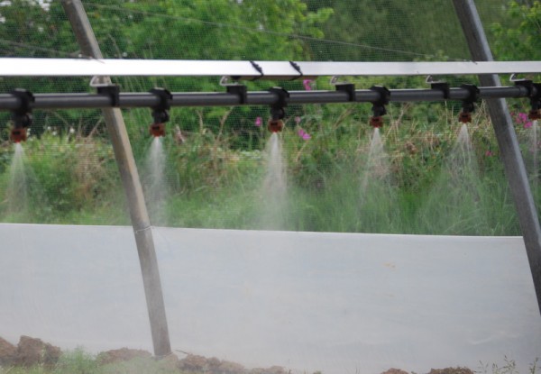 arrosage automatique de serre