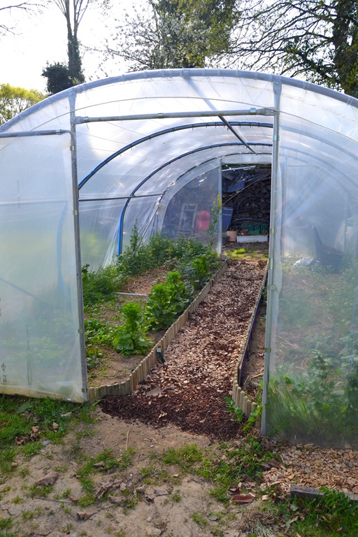 arrosage automatique de serre