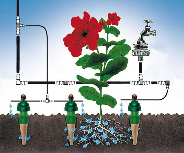 arrosage automatique de serre