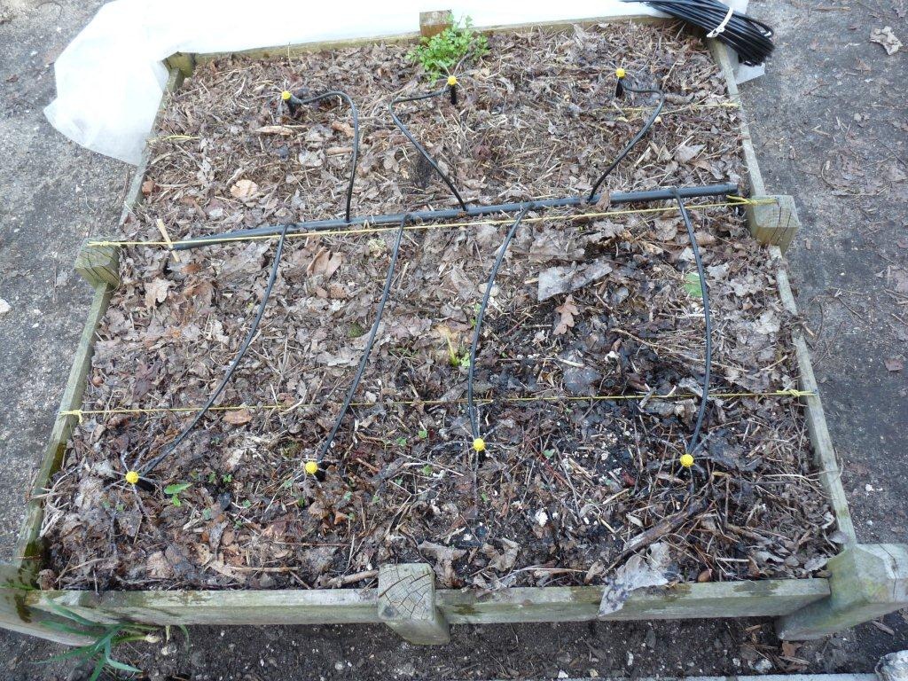 arrosage automatique du potager