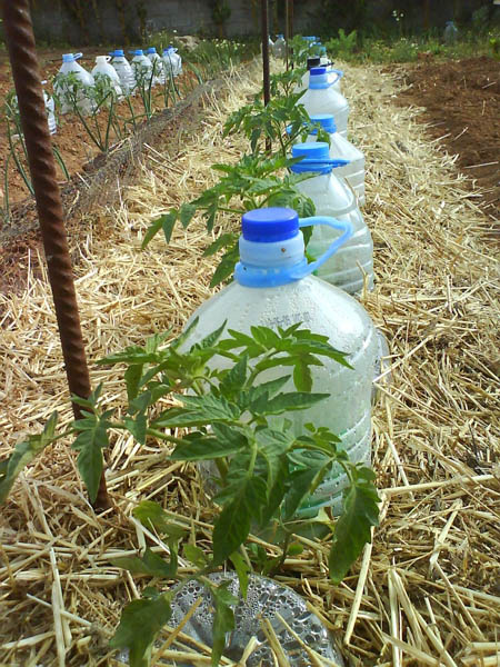arrosage automatique ecologique