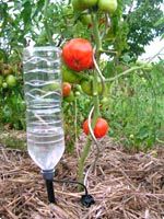arrosage automatique ecologique