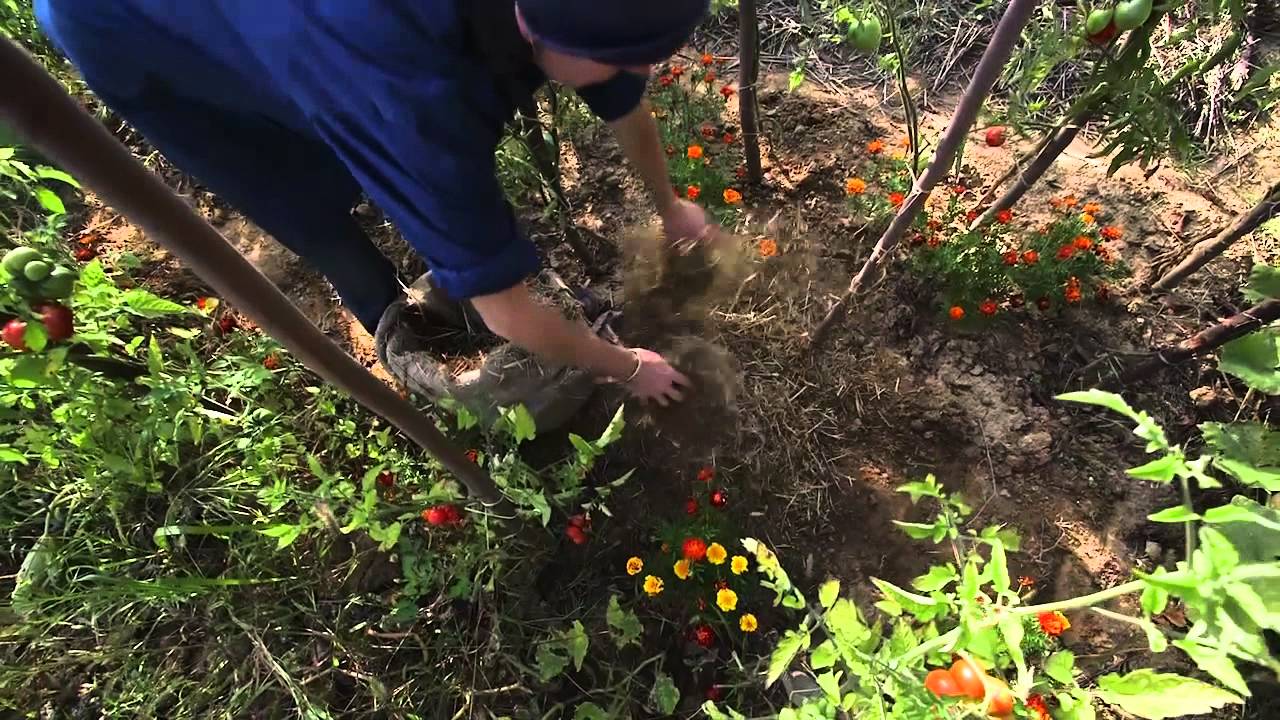 arrosage automatique ecologique