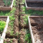 arrosage automatique ecologique
