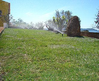 arrosage automatique entretien