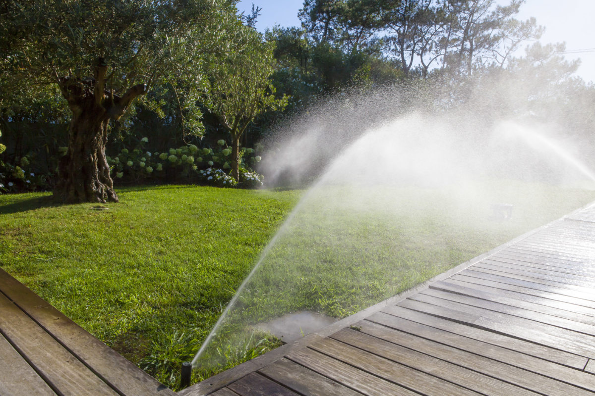 arrosage automatique entretien