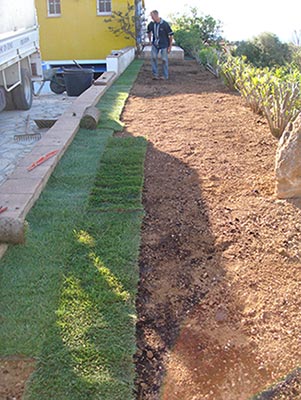 arrosage automatique entretien