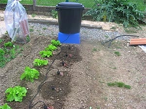 arrosage automatique goutte a goutte potager