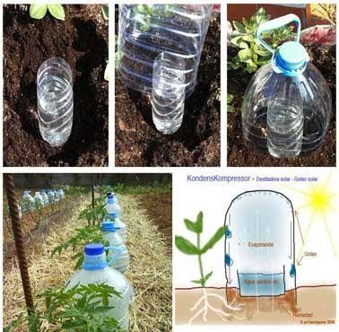 arrosage automatique goutte a goutte potager