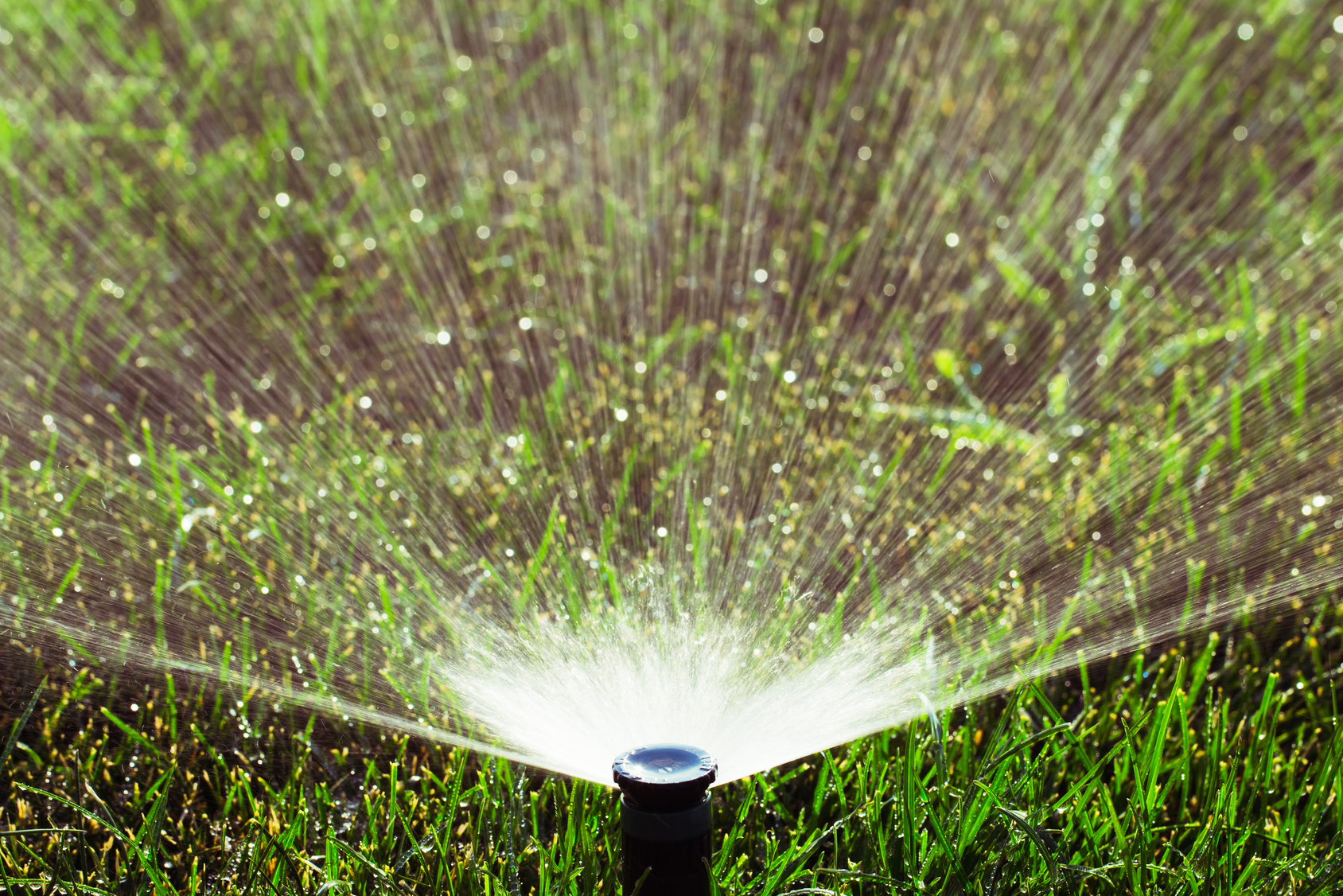 arrosage automatique heure ideale