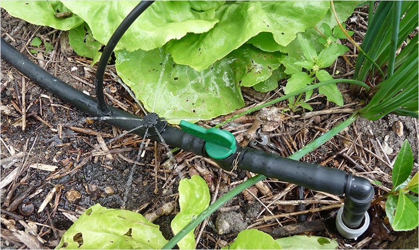 arrosage automatique installation potager