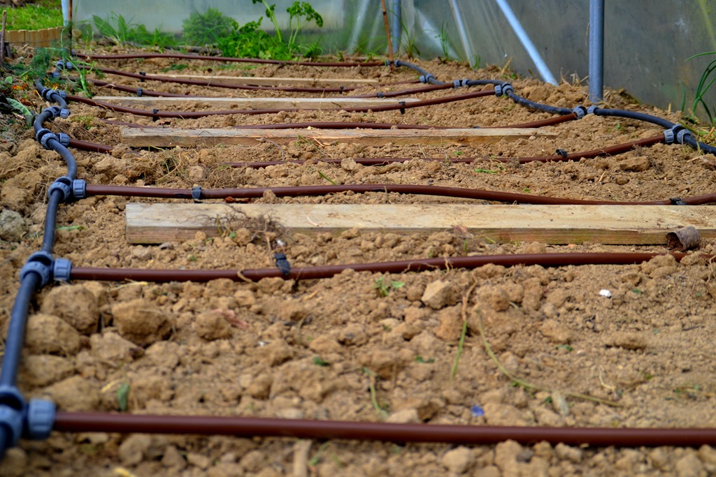 arrosage automatique installation potager