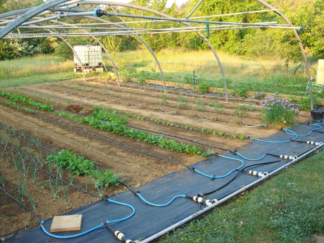 arrosage automatique installation potager