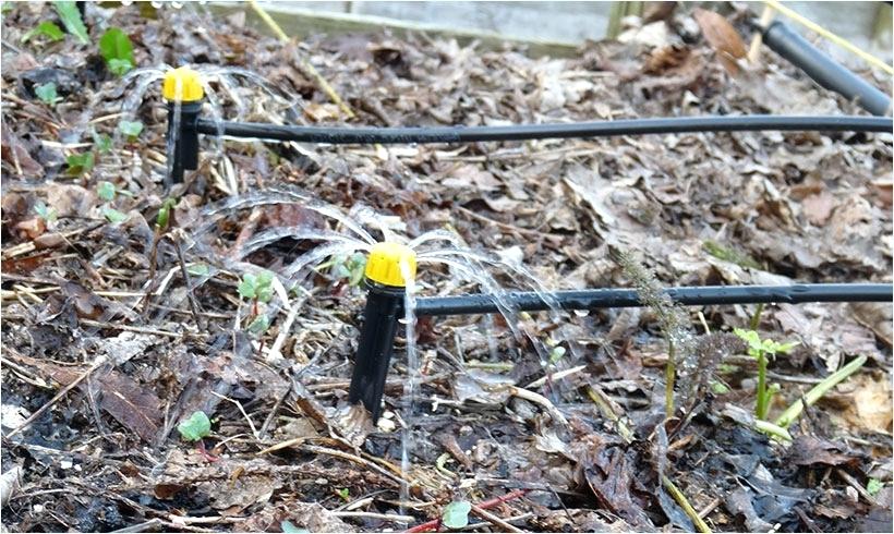 arrosage automatique installation potager