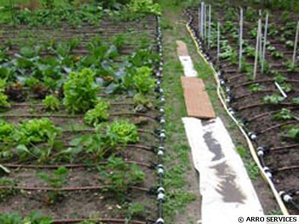 arrosage automatique jardin