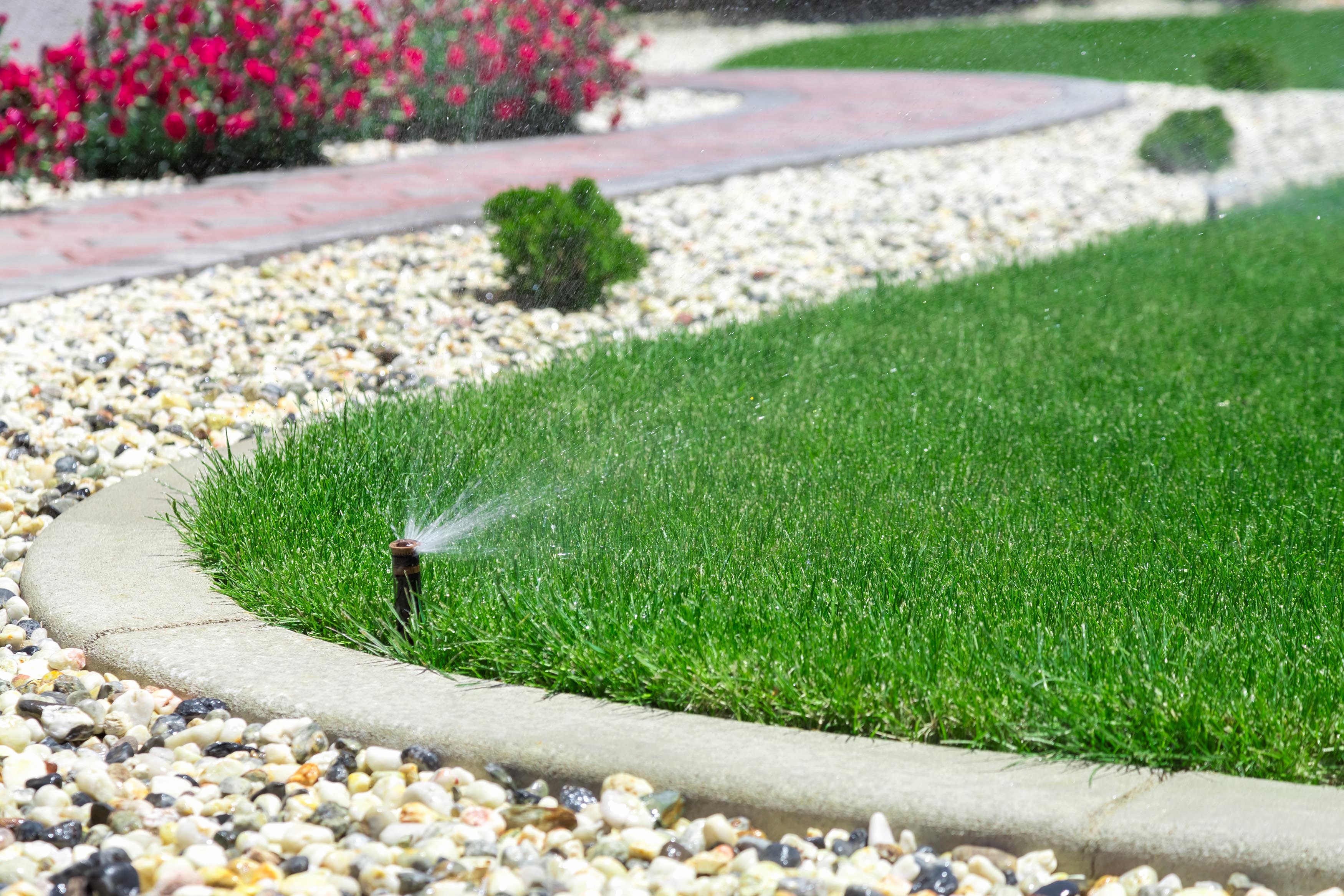 arrosage automatique jardin