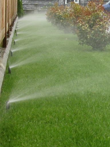 arrosage automatique marrakech