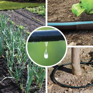 arrosage automatique marrakech