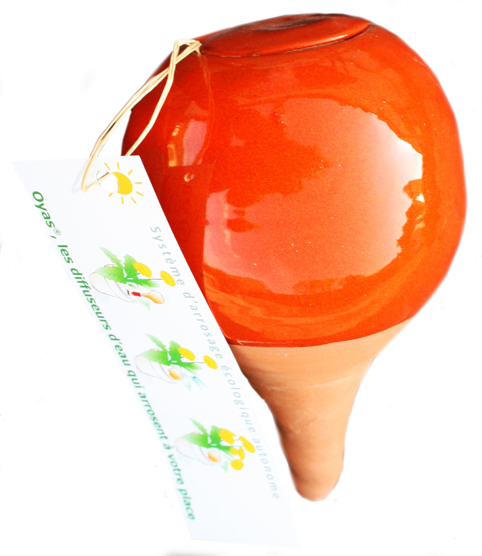 arrosage automatique oranger