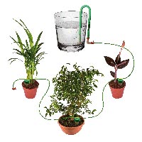 arrosage automatique plante interieur
