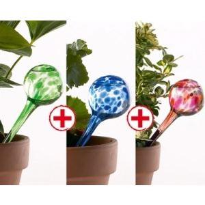 arrosage automatique plante interieur