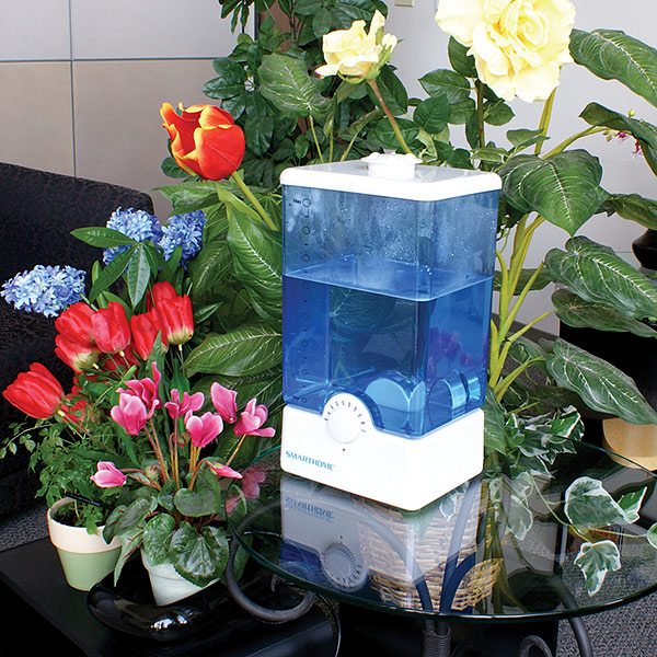 arrosage automatique plante interieur