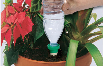 arrosage automatique pot de fleur