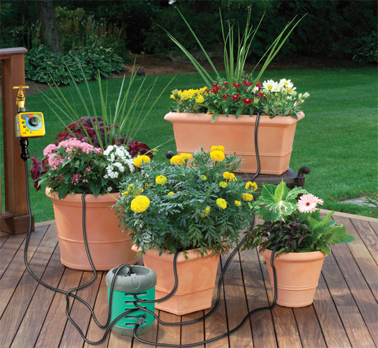 arrosage automatique pour terrasse