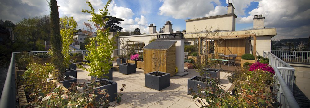 arrosage automatique pour terrasse