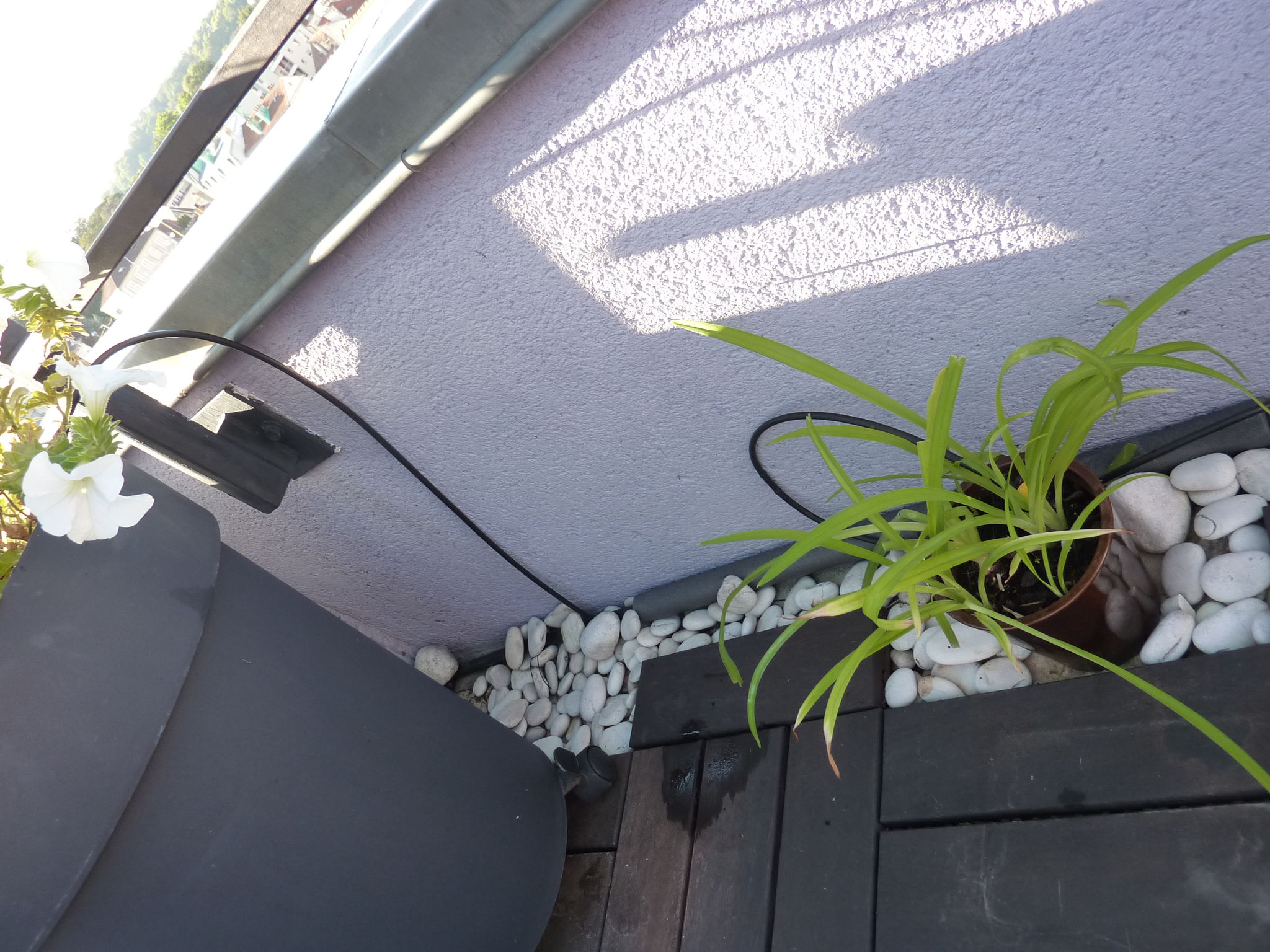 arrosage automatique pour terrasse