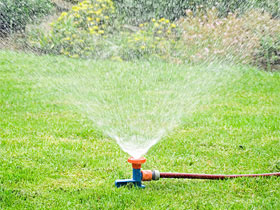 arrosage automatique reunion