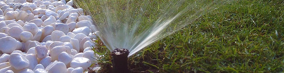 arrosage automatique reunion