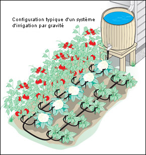 arrosage automatique sans electricite