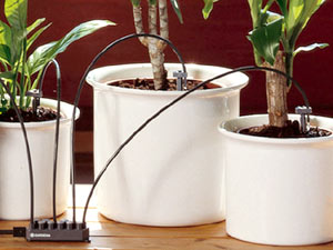 arrosage automatique vacances