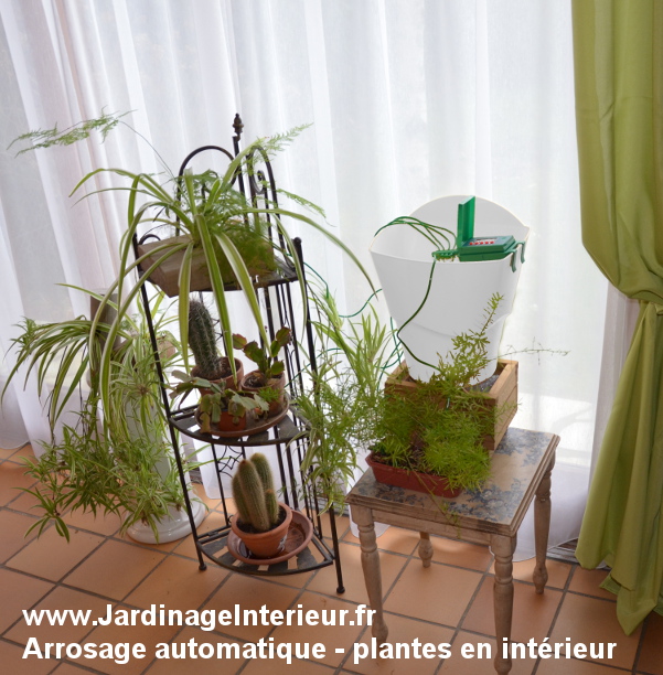 arrosage automatique vacances