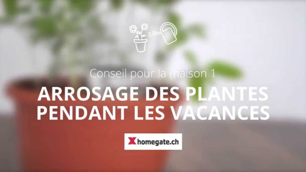 arrosage automatique vacances