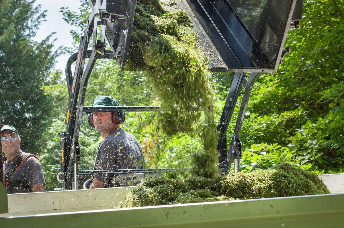 arrosage automatique val d'oise