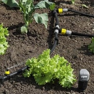 arrosage goutte a goutte conseil