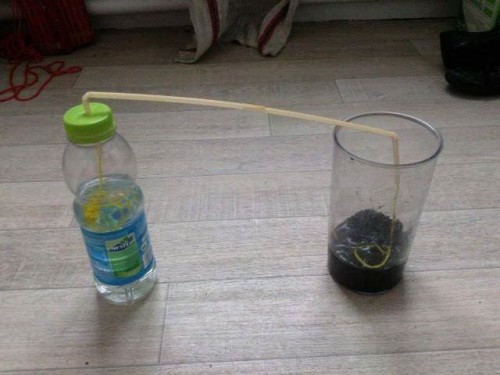 arrosage goutte a goutte diy