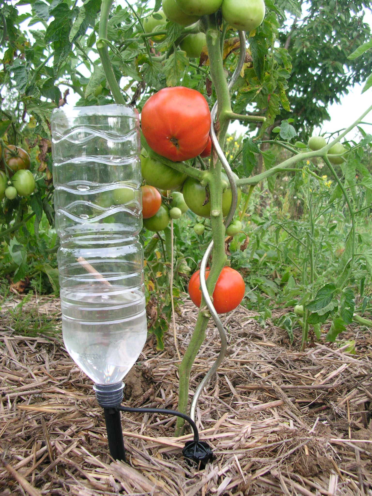 arrosage goutte a goutte diy