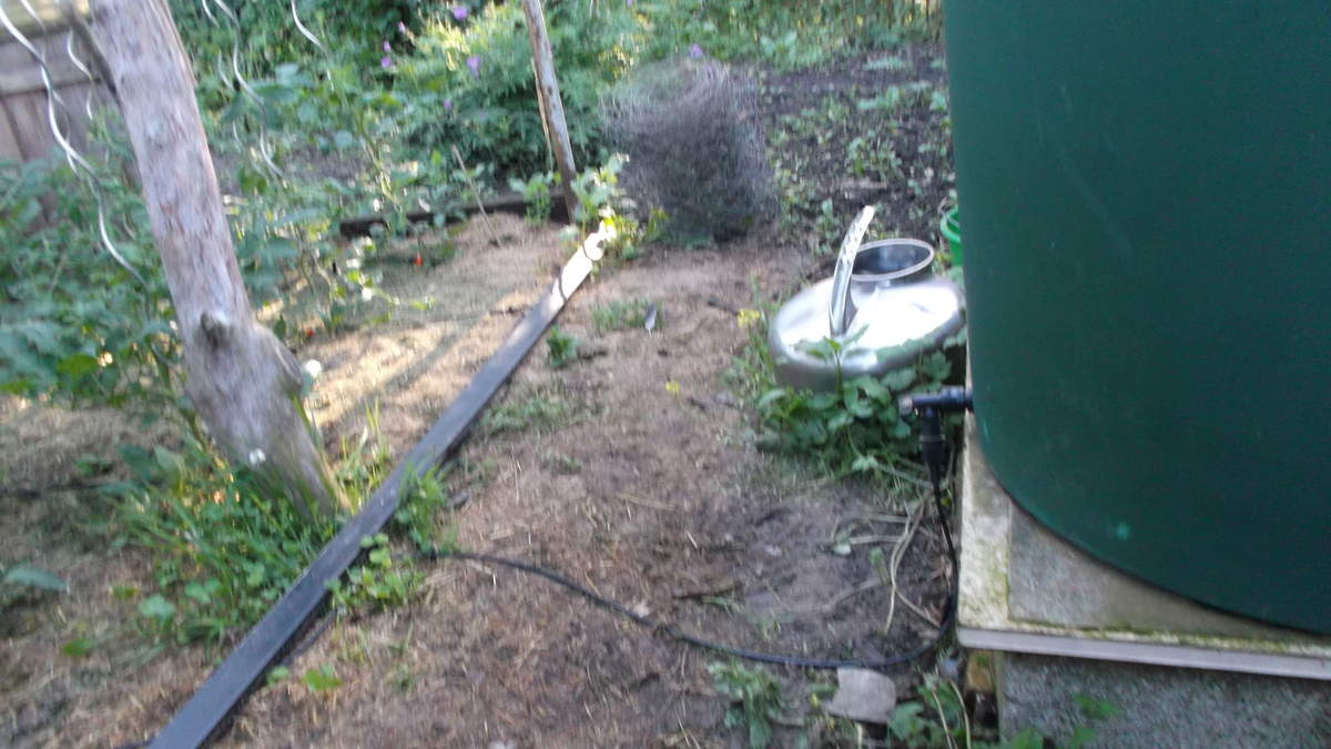 arrosage goutte a goutte eau de pluie