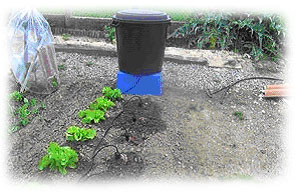 arrosage goutte a goutte ecologique