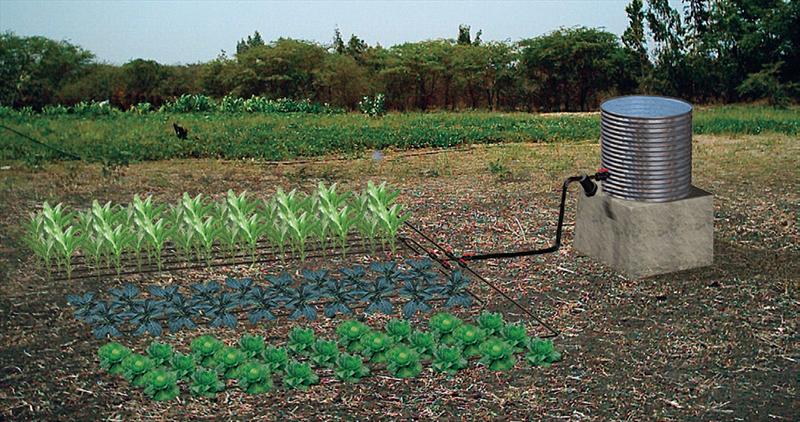 arrosage goutte a goutte economique