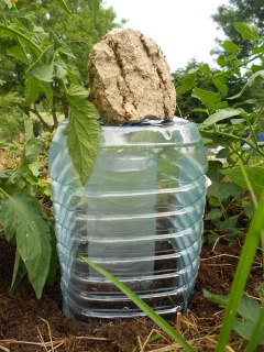 arrosage goutte a goutte economique