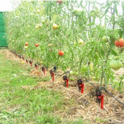 arrosage goutte a goutte economique